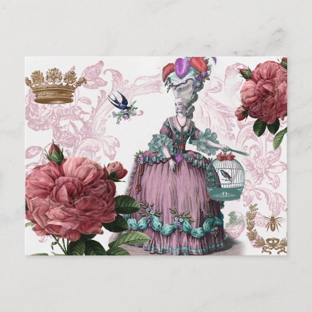 la cage aux oiseaux (The Birdcage) Postcard (Front)