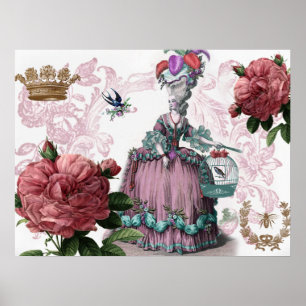 la cage aux oiseaux (The Birdcage) Poster