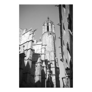 La Catedral Gargoyles Photo (Barcelona, Spain) Print