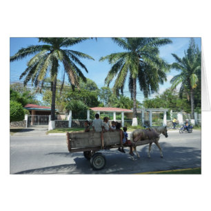 la ceiba cart