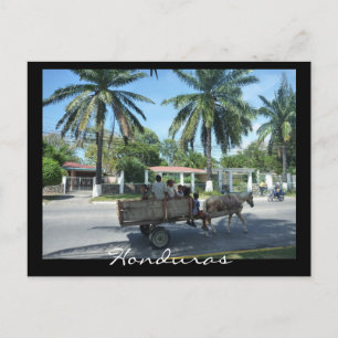 la ceiba transport postcard