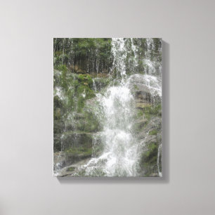 La Chute Waterfall in Forillon National Park Canvas Print