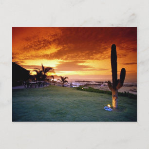 La Concha restaurant, Baja, Mexico Postcard