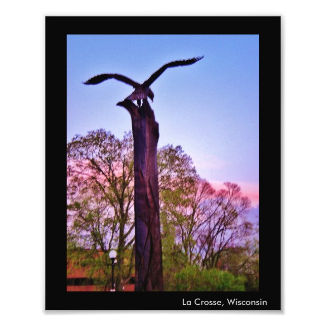 La Crosse Eagle Photo Print (Front)