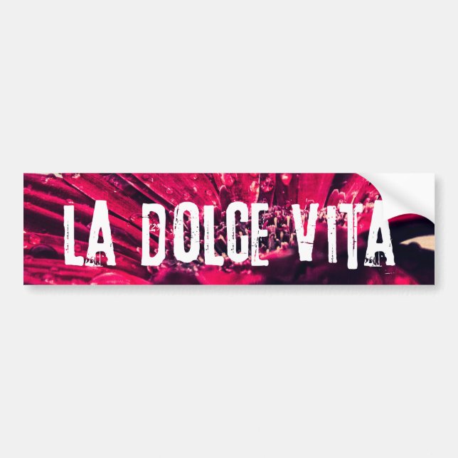La Dolce Vita Gerbera Daisy Bumper Sticker (Front)