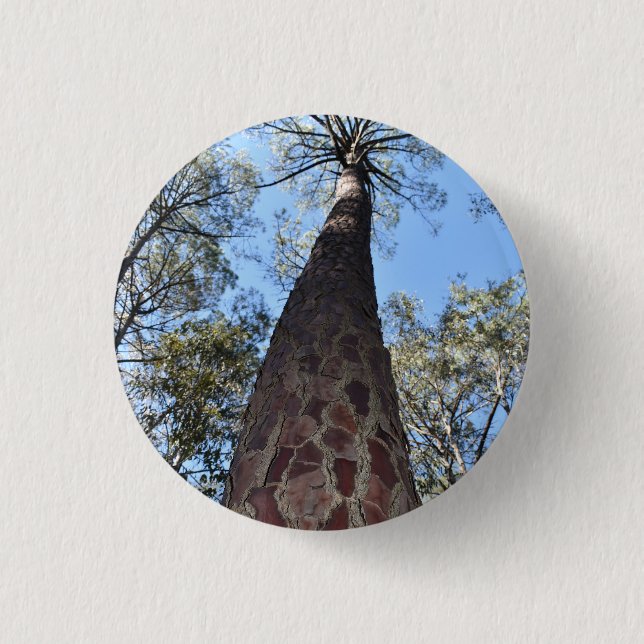 La Gerche Ponderosa Pine Badge (Front)