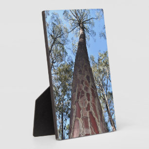 La Gerche Ponderosa Pine Photo Plaque