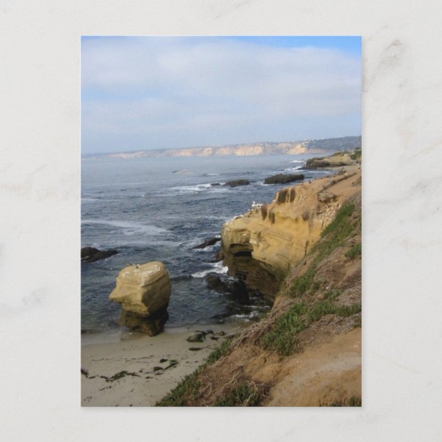 La Jolla Beach Seabirds Custom California Postcard (Front)