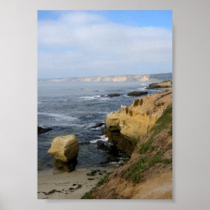 La Jolla Beach Seabirds Custom Poster Art Print