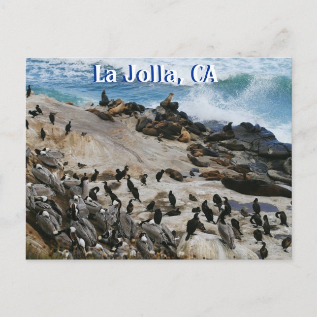 La Jolla California Post Card (Front)