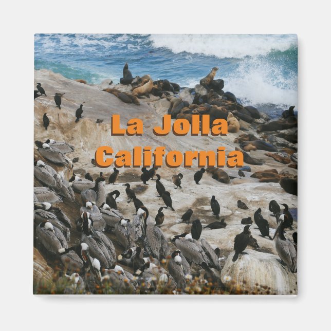 La Jolla California Souvenir Magnet (Front)