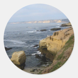 La Jolla Cove Beach Seabirds Custom Decal Stickers