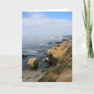 La Jolla Cove Beach Seabirds Custom Greeting Cards
