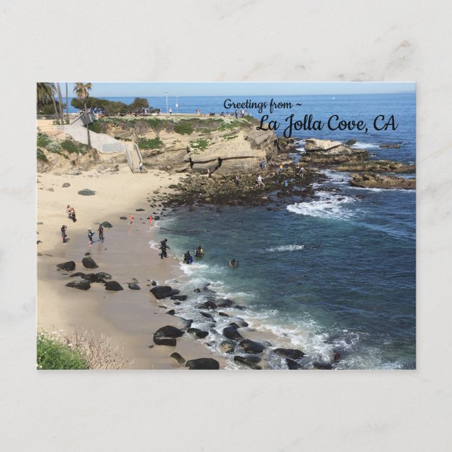 La Jolla Cove, California Postcard (Front)