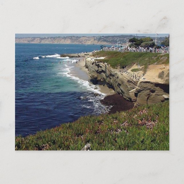 La Jolla Cove Postcard (Front)