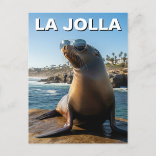 La Jolla Sea Lion California Travel Postcard