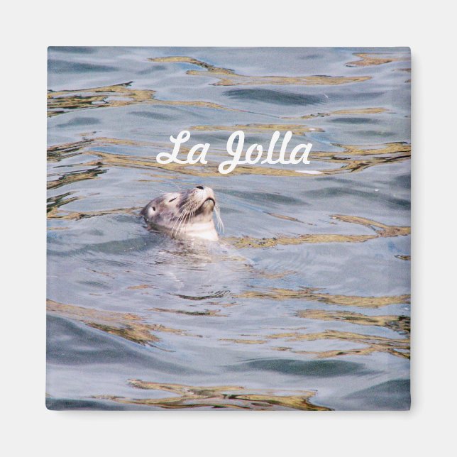La Jolla Seal Magnet (Front)