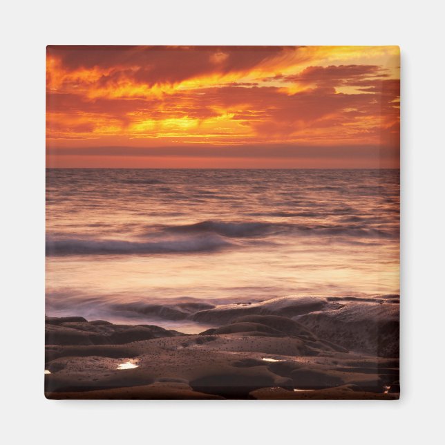 La Jolla Tide Pools Magnet (Front)