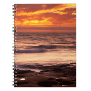 La Jolla Tide Pools Notebook