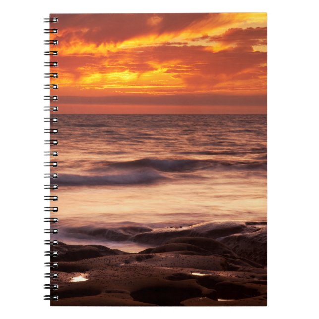 La Jolla Tide Pools Notebook (Front)