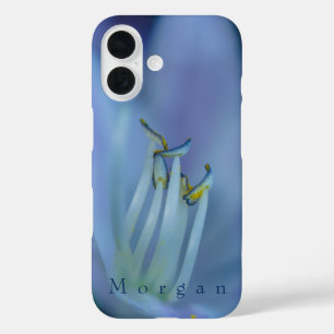 La La Land Custom iPhone 16 Case