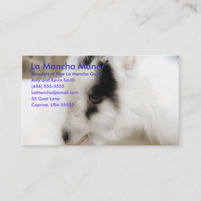 La Mancha Manor Business Card (Front)