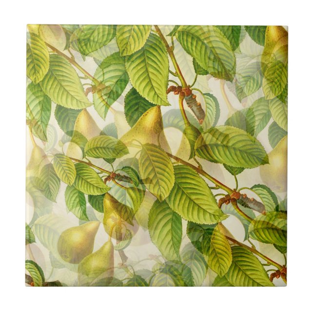 La Pera Pear Tile (Front)