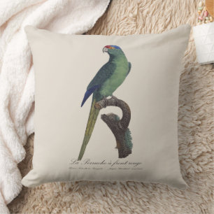La Perruche a front rouge  Cushion