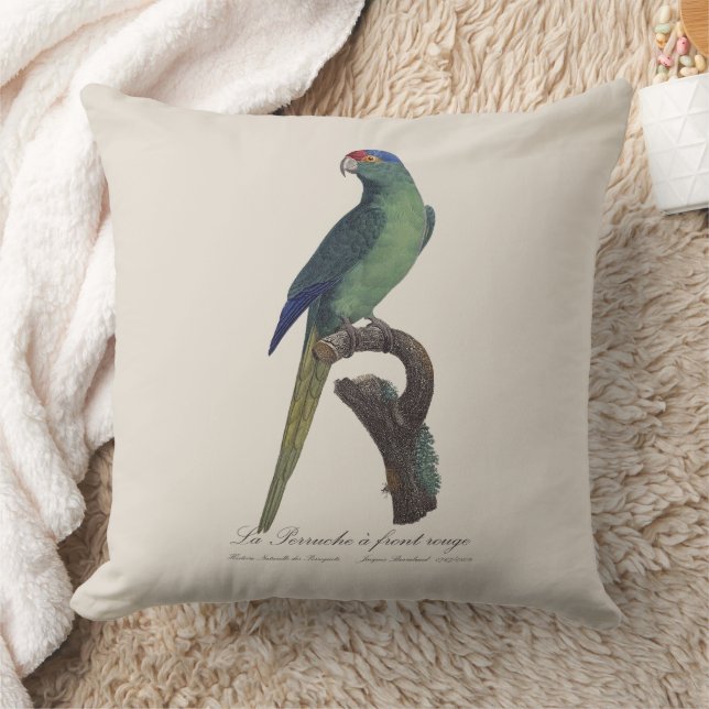 La Perruche a front rouge  Cushion (Blanket)
