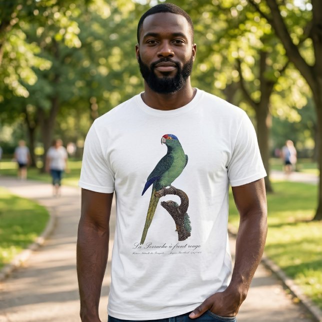 La Perruche a front rouge  T-Shirt (Orange-Fronted Parakeet, Eupsittula Canicularis. Men Basic White T-Shirt)