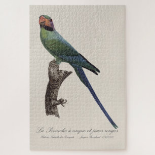 La Perruche a nuque et joues rouges  Jigsaw Puzzle