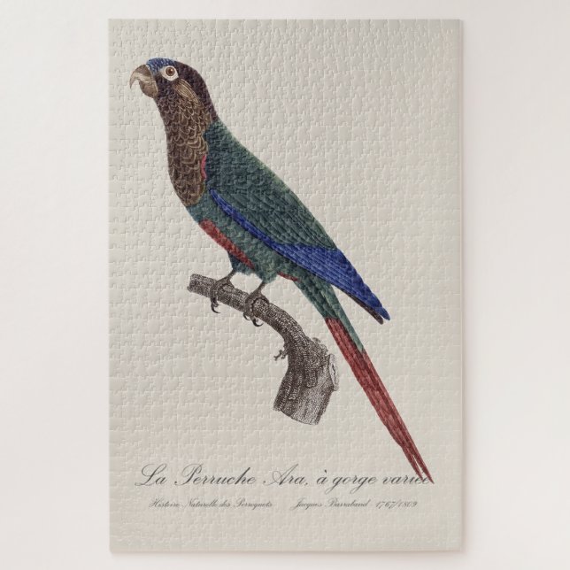 La Perruche Ara, a gorge variee  Jigsaw Puzzle (Vertical)
