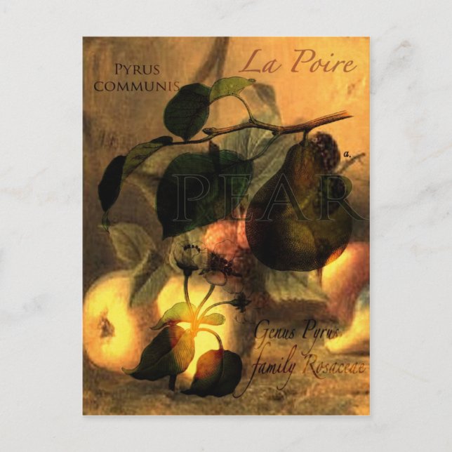 La Poire #1 Postcard (Front)