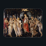 La Primavera (Spring) by Sandro Botticelli Magnet<br><div class="desc">La Primavera (Spring) by Sandro Botticelli, tempera painting on wood panel c. 1482, is a monumental depiction of a procession of ancient classical gods heralding the return of Spring, a subject that symbolises the time of renewal of the Renaissance. In the centre of the painting are the goddesses Venus and...</div>
