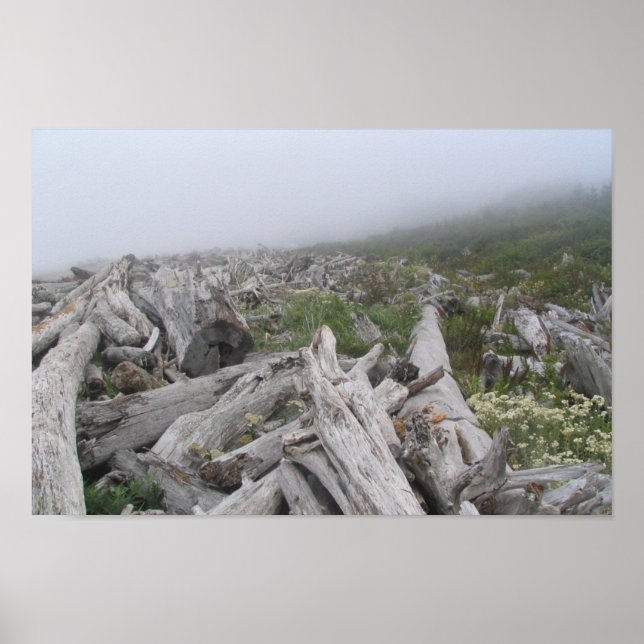 La Push, Pacific Coast — WA Poster (Front)