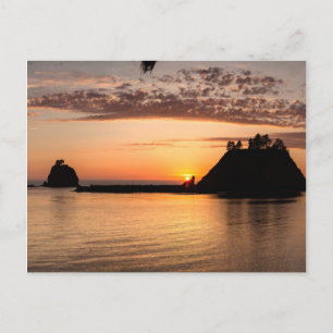 La Push, Washington. Panorama Postcard
