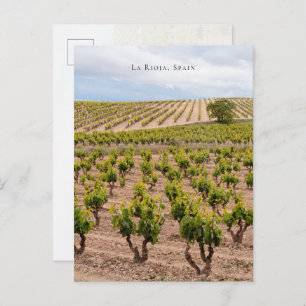 La Rioja, Spain Vineyard Landscape Postcard