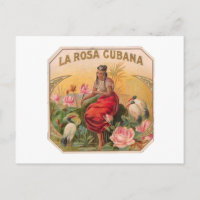 La Rosa Cubana Diseño Vintage Cuba
