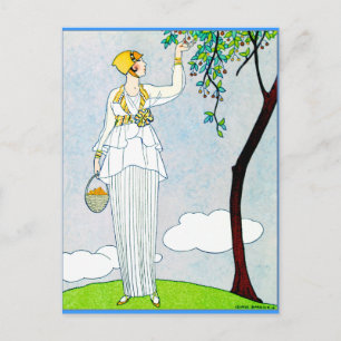 La Saison Des Prunes Mirabelles Postcard