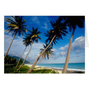 La Samana Peninsula, Dominican Republic,