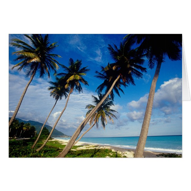 La Samana Peninsula, Dominican Republic, (Front Horizontal)