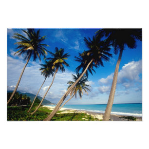 La Samana Peninsula, Dominican Republic, 2 Photo Print