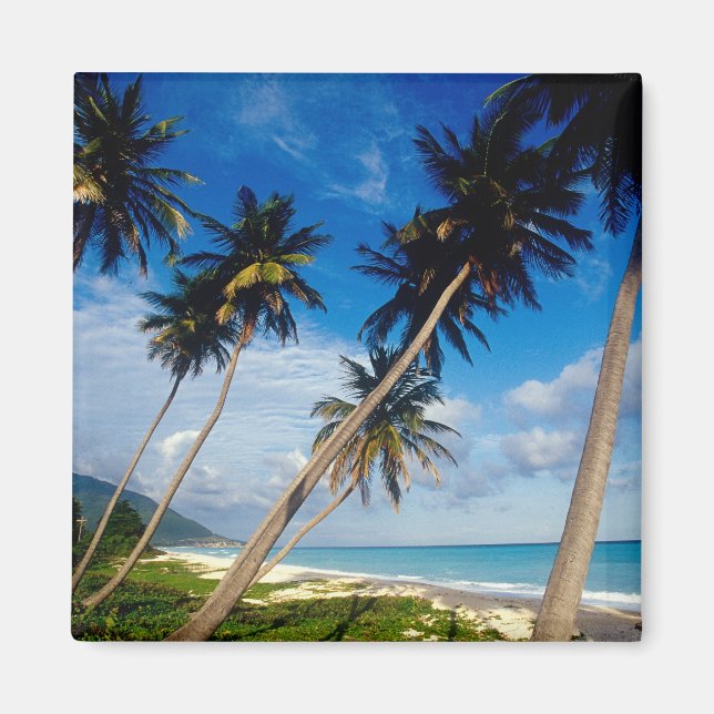 La Samana Peninsula, Dominican Republic, Magnet (Front)