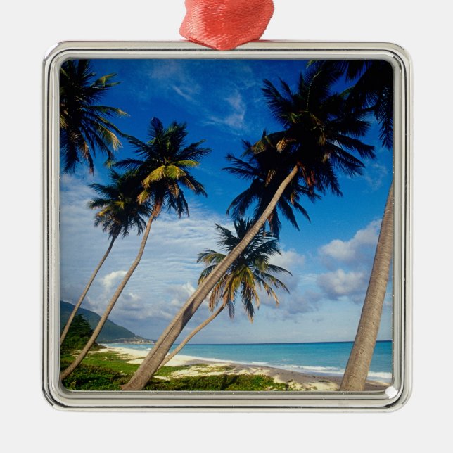 La Samana Peninsula, Dominican Republic, Metal Tree Decoration (Front)
