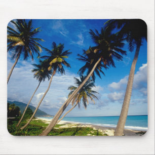 La Samana Peninsula, Dominican Republic, Mouse Pad