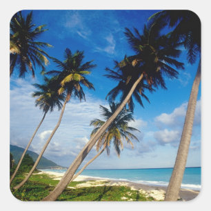 La Samana Peninsula, Dominican Republic, Square Sticker