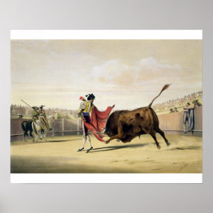 La Suerte de la Capa, 1865 (colour litho) Poster
