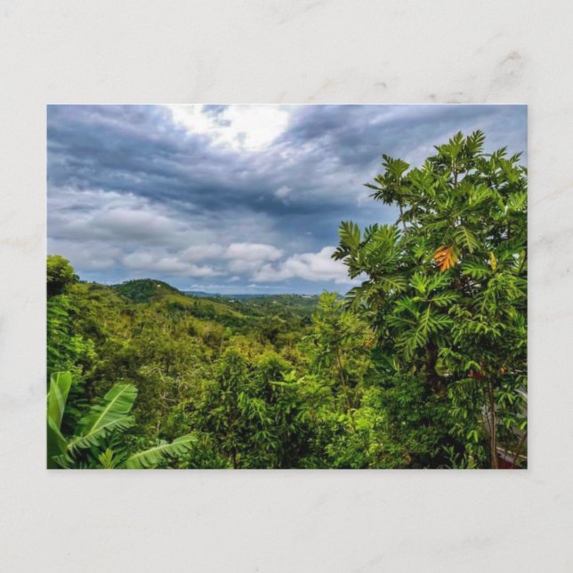 La Tierra Que Da Fruto Postcard (Front)