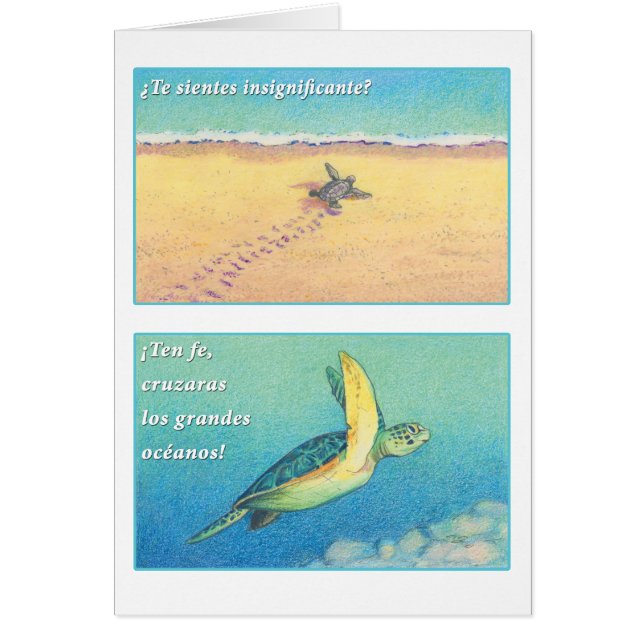 La Tortuga de Mar, tarjeta (Front)