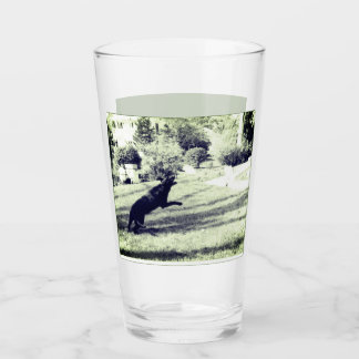 Lab catching a frisbee Beer Glass